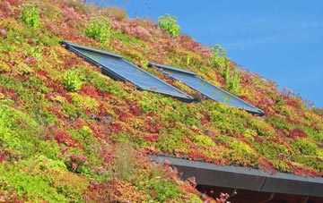 Bont Fawr living roof systems