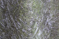 Bont Fawr fibreglass roof work